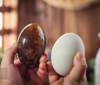5PCS Leadless Preserved Duck Eggs with Low Price