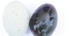 Certificated Coated Preserved Duck Egg Chinese Lead-free Processed Egg